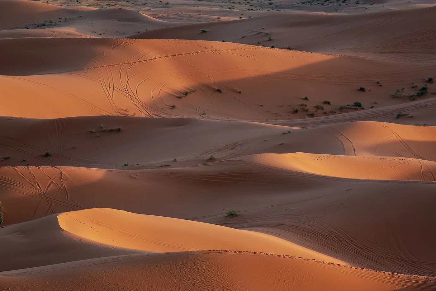 Les dunes dorées de l'Erg Chebbi près de Merzouga